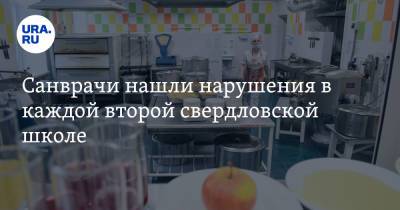 Санврачи нашли нарушения в каждой второй свердловской школе - ura.news - Свердловская обл.