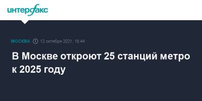 В Москве откроют 25 станций метро к 2025 году - interfax.ru - Москва