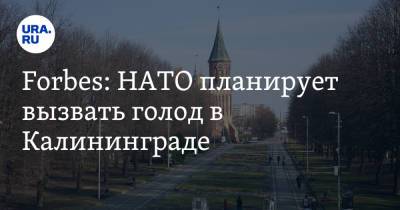 Йенс Столтенберг - Forbes: НАТО планирует вызвать голод в Калининграде - ura.news - Россия - США - Эстония - Литва - Калининград - Латвия
