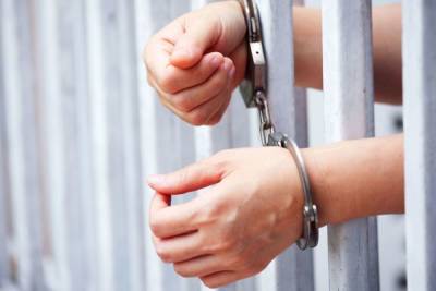 Суд арестовал похитителя беременной женщины в Гатчине - mk.ru - Ленинградская обл. - Санкт-Петербург - район Гатчинский