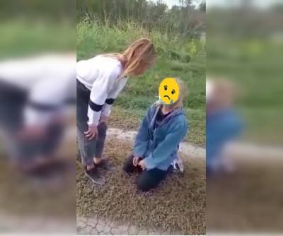 «Получишь от всех нас!»: в Ростовской области банда школьниц унизила и избила сверстницу - bloknot.ru - Ростовская обл.
