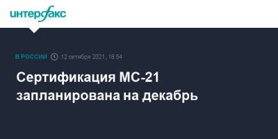 Игорь Чалик - Сертификация МС-21 запланирована на декабрь - interfax.ru - Москва - Россия - США