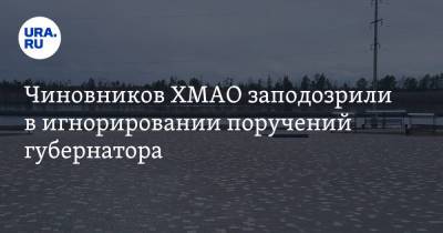 Наталья Комарова - Чиновников ХМАО заподозрили в игнорировании поручений губернатора - ura.news - Россия - Югра