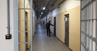 Подмосковного маньяка приговорили к пожизненному заключению - moslenta.ru - Москва - Московская обл.