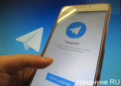 Telegram и YouTube заблокировали каналы организации "Мужское государство" - nakanune.ru - Нижегородская обл.
