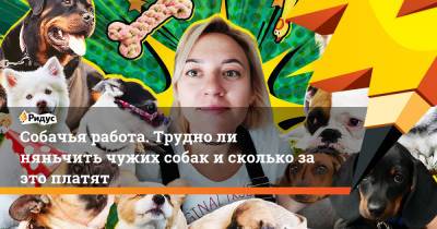 Собачья работа. Трудно ли няньчить чужих собак и сколько за это платят - ridus.ru - Москва - Россия - Бразилия