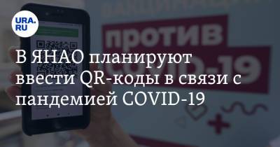 В ЯНАО планируют ввести QR-коды в связи с пандемией COVID-19 - ura.news - Московская обл. - Тюмень - Югра - окр. Янао