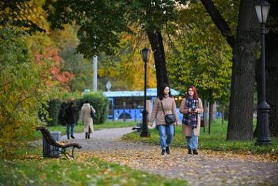 Иван Соловьев - Россиян предупредили о четырех выходных подряд в ноябре - lenta.ru - Россия