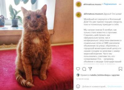 Анна Ахматова - Пропавший из музея Анны Ахматовой кот Ося вернулся домой - abnews.ru
