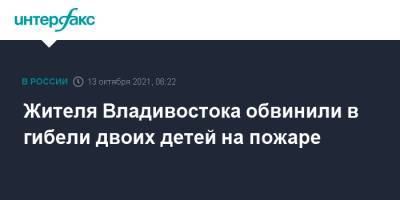 Жителя Владивостока обвинили в гибели двоих детей на пожаре - interfax.ru - Москва - Приморье край - Владивосток