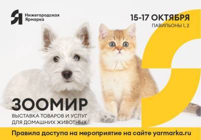 Выставки собак и кошек пройдут на Нижегородской ярмарке 15—17 октября - vgoroden.ru - Россия - Казахстан - Италия - Германия - Нижний Новгород - Кипр - Нижний Новгород