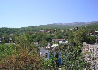 В Крыму мужчина выкрал маленького сына у бывшей супруги и попытался сжечь в лесу - province.ru - Крым