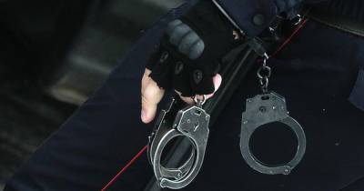Ранее судимый мужчина домогался московской школьницы через мессенджер - moslenta.ru - Россия - Московская обл. - Саратовская обл.