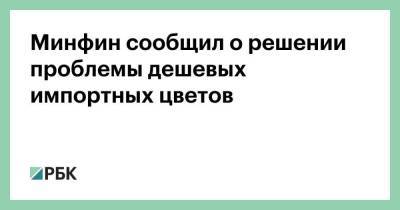 Минфин сообщил о решении проблемы дешевых импортных цветов - smartmoney.one - Россия - Белоруссия - Минск - Голландия - Эквадор - Кения