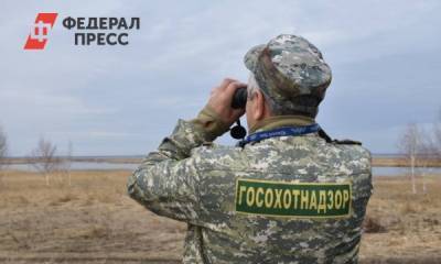 Браконьеры в Челябинской области убили птиц и животных на 13 млн рублей - fedpress.ru - Россия - Челябинская обл. - Экология