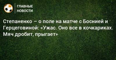 Тарас Степаненко - Степаненко – о поле на матче с Боснией и Герцеговиной: «Ужас. Оно все в кочкариках. Мяч дробит, прыгает» - bombardir.ru - Украина - Львов - Босния и Герцеговина