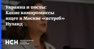 Сергей Рябков - Виктория Нуланд - Нед Прайс - Украина и послы: Какие компромиссы ищет в Москве «ястреб» Нуланд - nsn.fm - Москва - Россия - США - Украина - Вашингтон