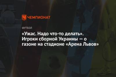 Тарас Степаненко - «Ужас. Надо что-то делать». Игроки сборной Украины — о газоне на стадионе «Арена Львов» - championat.com - Украина - Львов - Босния и Герцеговина
