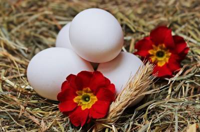 Ученые рассказали, какие продукты могут на 70 процентов увеличить риск развития рака у мужчин – Учительская газета - ug.ru - Германия