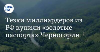 Тезки миллиардеров из РФ купили «золотые паспорта» Черногории - ura.news - Россия - Курганская обл. - Черногория - Ставрополье