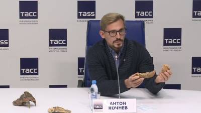 Уральские ученые показали челюсти гиены пахикрокуты, жившей более 1,5 миллиона лет назад (ФОТО) - newdaynews.ru - Екатеринбург