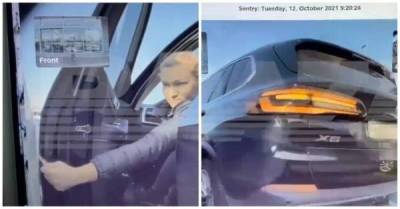 Ирина Соколова - Владелица BMW ключом поцарапала автомобиль Tesla за "неправильную" парковку - skuke.net - Интересно