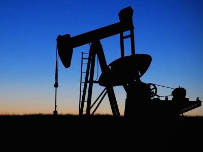 Названа цена нефти при достижении полной углеродной нейтральности - smartmoney.one