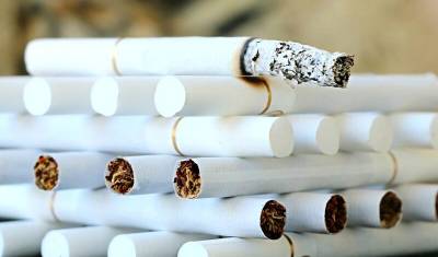 Россияне отказываются от дорогих сигарет в пользу дешевых - newizv.ru