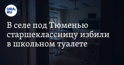 В селе под Тюменью старшеклассницу избили в школьном туалете - ura.news - Тюмень