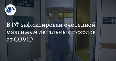В РФ зафиксирован очередной максимум летальных исходов от COVID - ura.news - Москва - Россия - Санкт-Петербург - Московская обл. - Челябинская обл. - Свердловская обл. - Пермский край