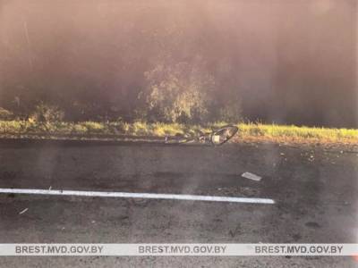 Водитель «Рено» сбила велосипедиста в Кобринском районе - naviny.by - Украина - Белоруссия - район Кобринский