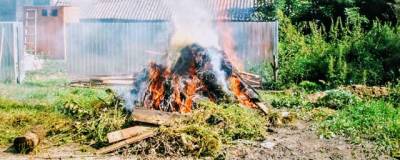 Волжанам напомнили о штрафах за разведение костров - runews24.ru