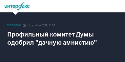 Павел Крашенинников - Профильный комитет Думы одобрил "дачную амнистию" - interfax.ru - Москва