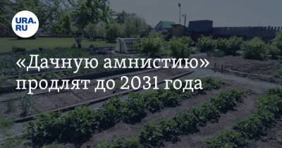 «Дачную амнистию» продлят до 2031 года - ura.news - Россия