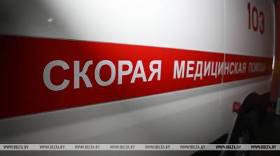 В Молодечненском районе под колесами пассажирского поезда погиб мужчина - belta.by - Белоруссия - Минск - Витебск - район Молодечненский