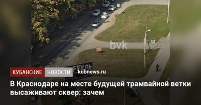В Краснодаре на месте будущей трамвайной ветки высаживают сквер: зачем - kubnews.ru - Краснодар