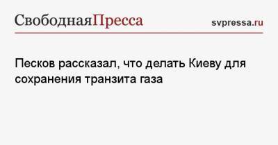Владимир Путин - Дмитрий Песков - Николай Шульгинов - Песков рассказал, что делать Киеву для сохранения транзита газа - svpressa.ru - Украина - Киев