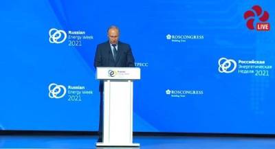 Владимир Путин - Путин считает, что рост цен на газ в Европе стал следствием дефицита электроэнергии - smartmoney.one - Россия