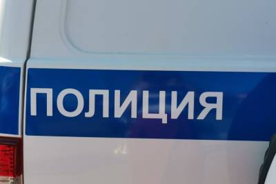 Воссоздающая СССР жительница Алексина со скандалом уехала из здания суда в полицию - tula.mk.ru - Того