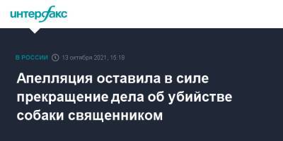 Константин Кузнецов - Апелляция оставила в силе прекращение дела об убийстве собаки священником - interfax.ru - Москва - Россия - Мурманск - Мурманская обл.