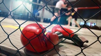 Украине пригрозили лишением права проведения чемпионата Европы по ММА - 5-tv.ru - Украина - Киев