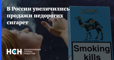В России увеличились продажи недорогих сигарет - nsn.fm - Россия