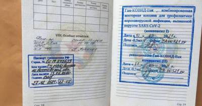 На Донбассе ВСУ задержали боевика с российским паспортом (ФОТО) - dsnews.ua - Россия - Украина - ДНР - Донбасс