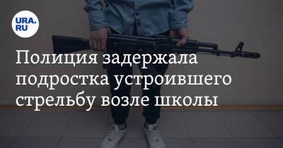 Полиция задержала подростка устроившего стрельбу возле школы - ura.news - Москва - Россия