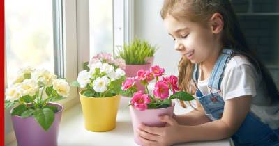 Цветут осенью: 6 комнатных растений для уюта в холода - profile.ru