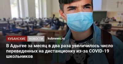 Евгений Лебедев - В Адыгее за месяц в два раза увеличилось число переведенных на дистанционку из-за COVID-19 школьников - kubnews.ru - респ. Адыгея