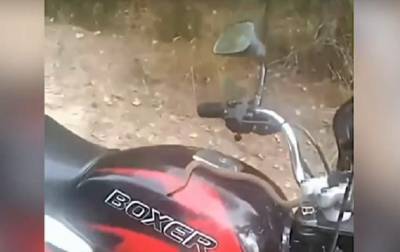 Змея заползла в мотоцикл и напала на водителя - korrespondent.net - Украина - Ровенская обл.