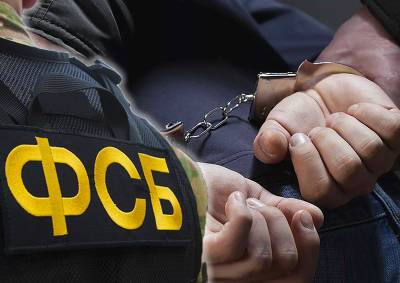 Украинца, задержанного ФСБ при попытке контрабанды военного оборудования в ОАЭ, отправили в колонию - mskgazeta.ru - Москва - Россия - США - Украина - Московская обл. - Эмираты