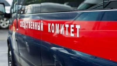 В Уфе начали проверку по делу об отравлении детей парами опасного вещества - bash.news - Уфа