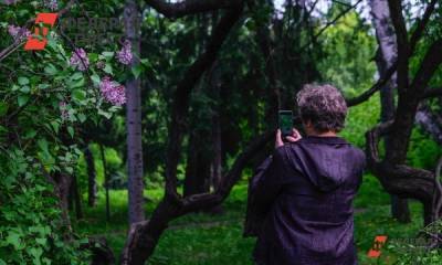 Жители Липецкой области выберут села, в которые проведут мобильный интернет - fedpress.ru - Россия - Липецкая обл. - Липецк